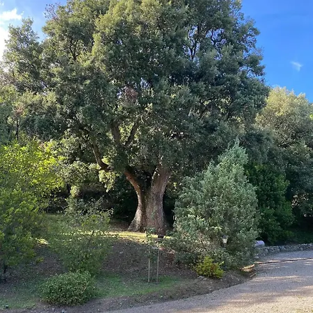 Διαμέρισμα Il Leccione